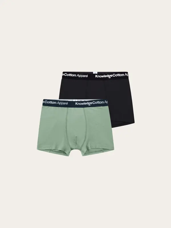 2 pack underwear - Lily Pad
