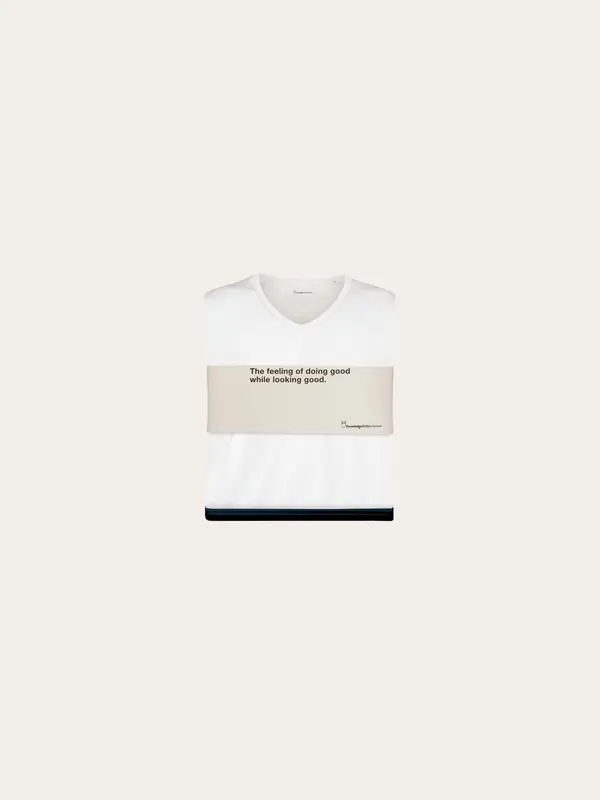 3-pack t-shirt Regular v-neck - Item Colour