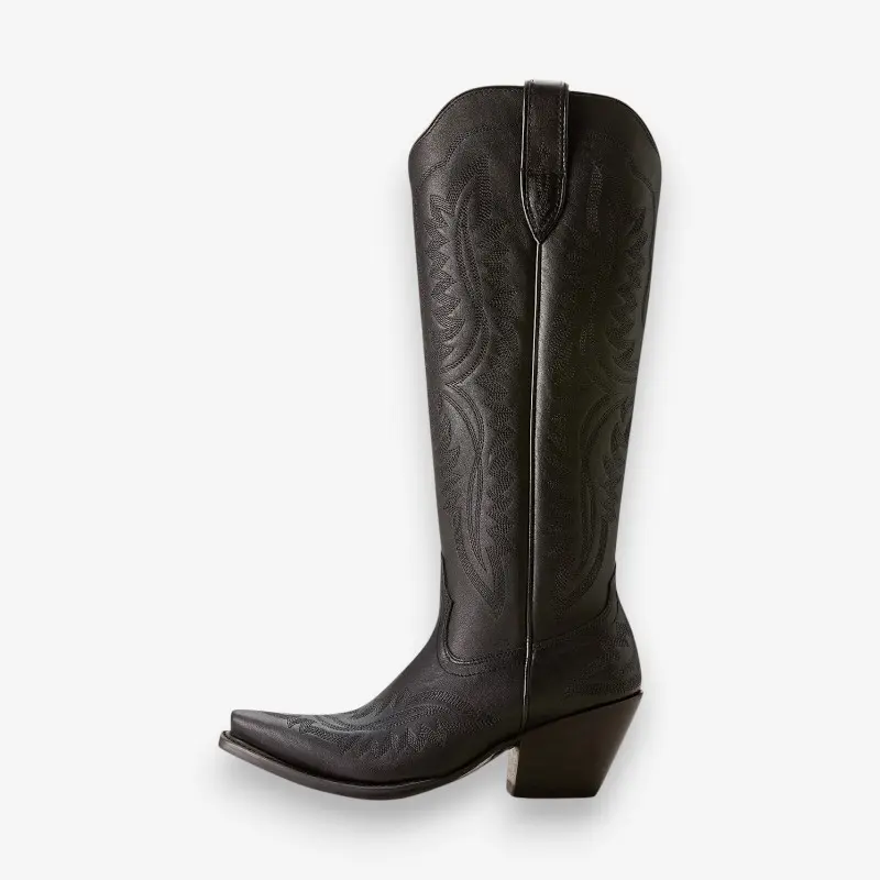 Bottes hautes bout pointu