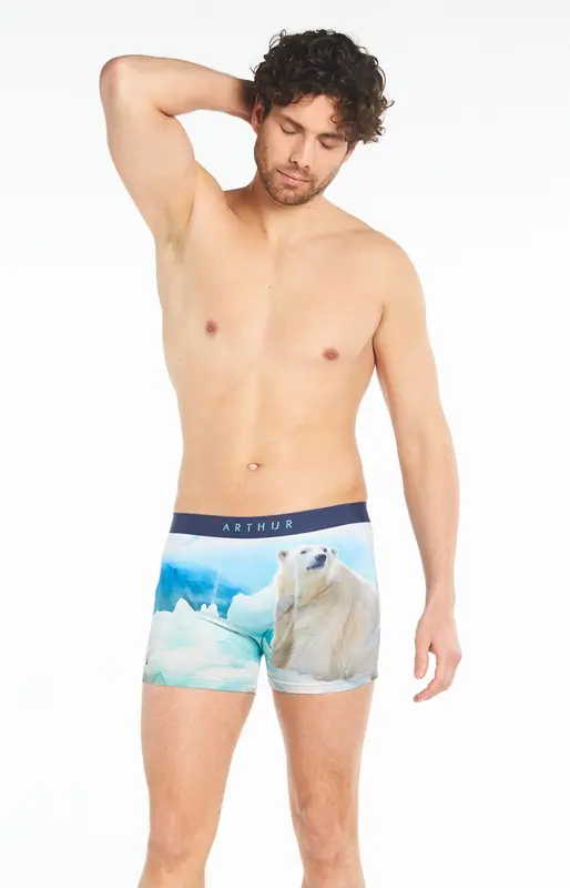 Boxer - Banquise