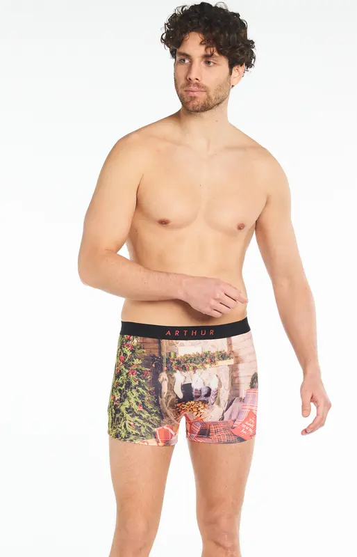 Boxer - Christmas