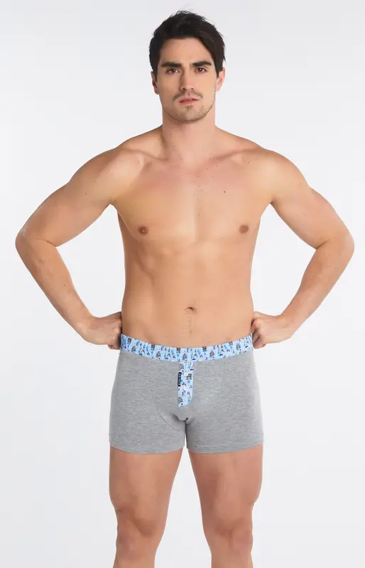 Boxer Club Gris