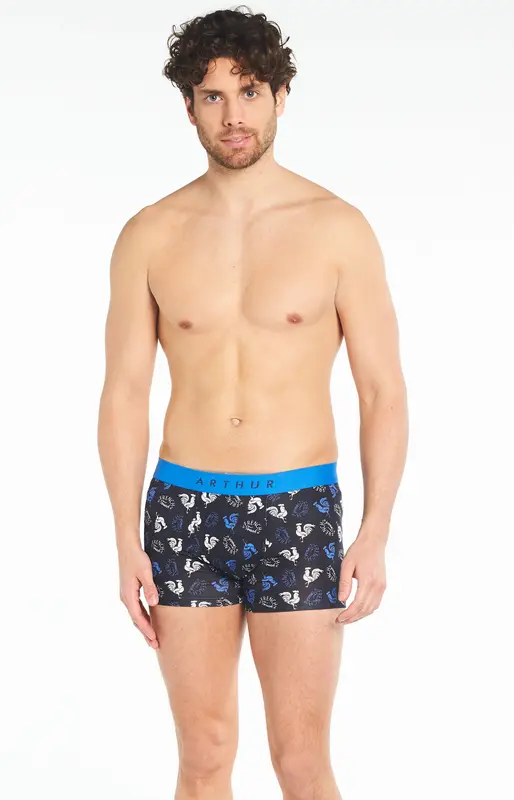 Boxer Coq