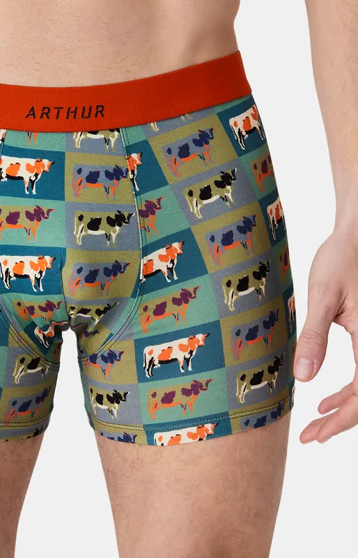 Boxer en jersey de coton - Pop Vache
