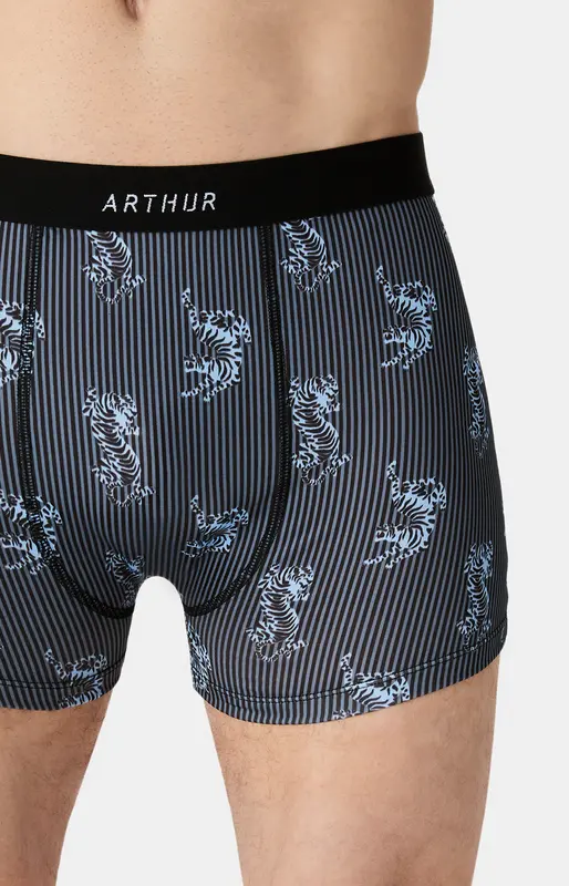Boxer en maille microfibre - Tigre Rajan