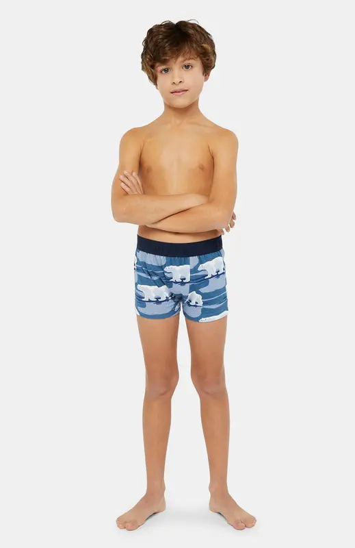 Boxer Enfant Ours