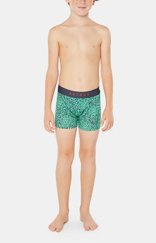 Boxer enfant - Tigre