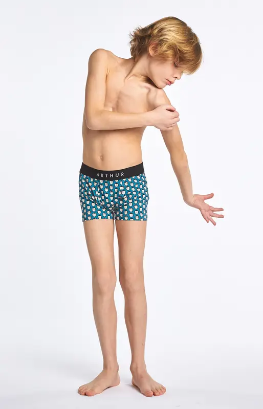 Boxer Gogo