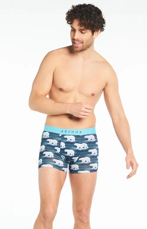 Boxer Ours
