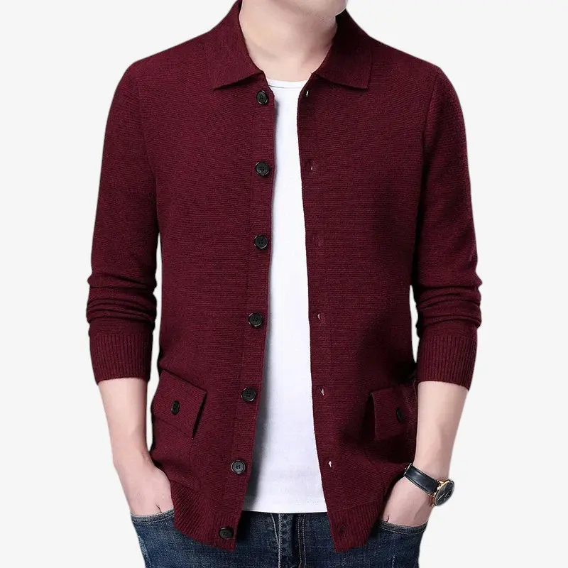 Cardigan homme manches longues col classique Oliver