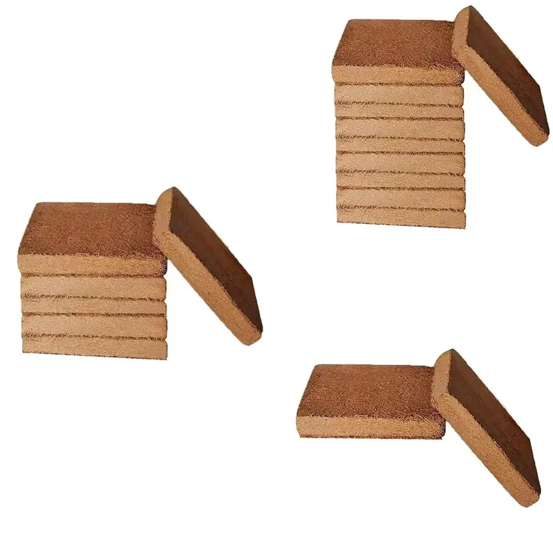 Charbon de Noix de Coco Biologique