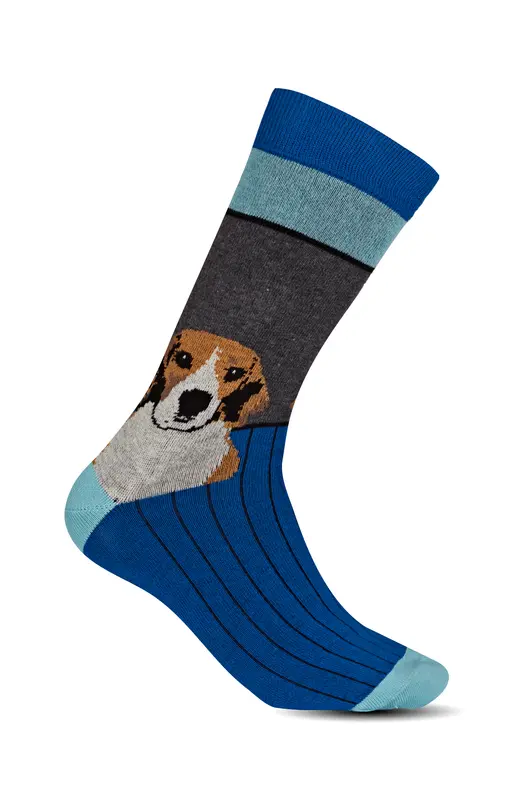 Chaussettes - Beagle