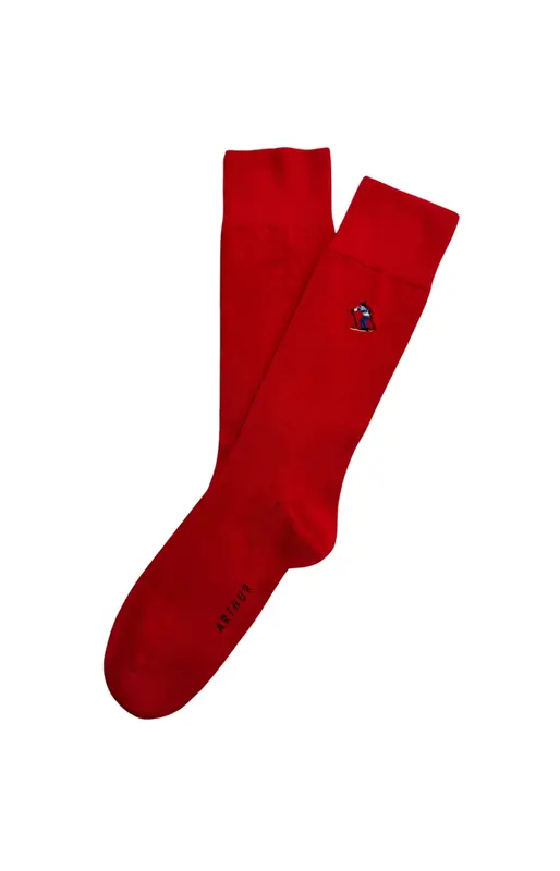 Chaussettes brodées en coton - Ski