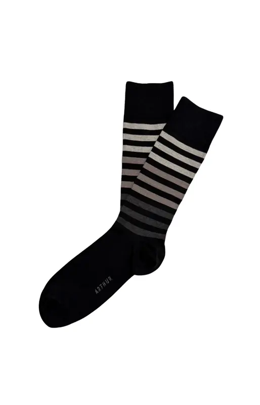 Chaussettes en coton - Ray
