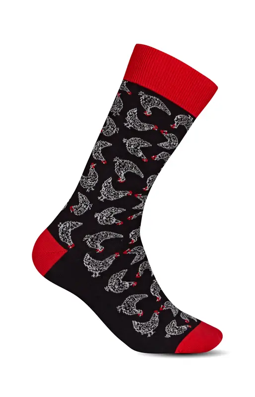 Chaussettes - Poules