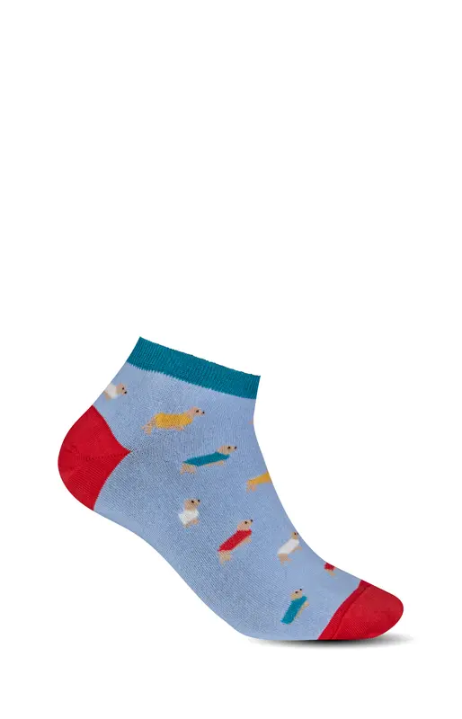 Chaussettes Teckel - Bleu