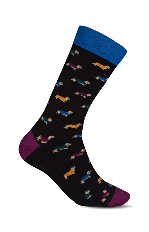 Chaussettes Teckel - Noir