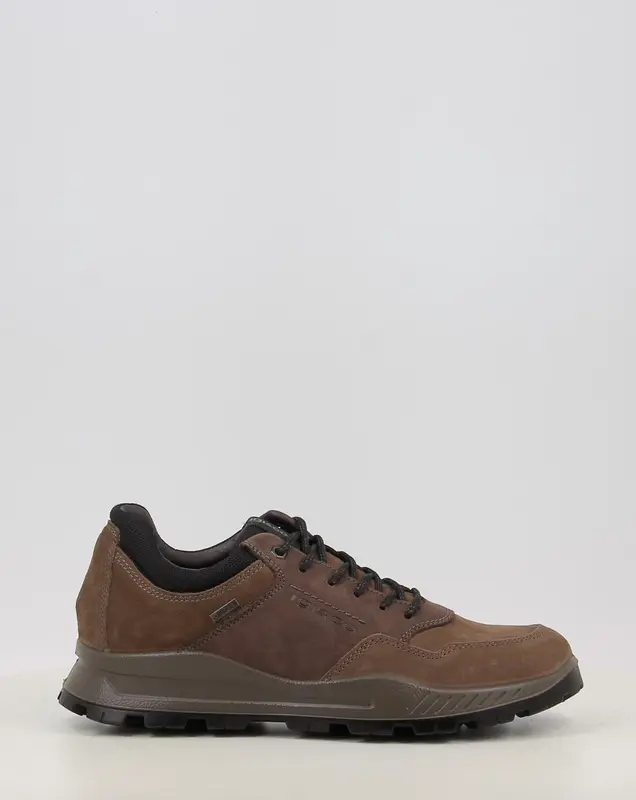 Chaussures IGI & CO U.ELOY GTX 86294 taupe