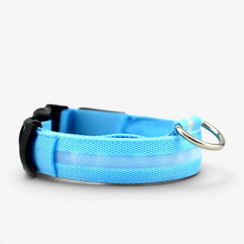 Collier LED rechargeable USB pour chien