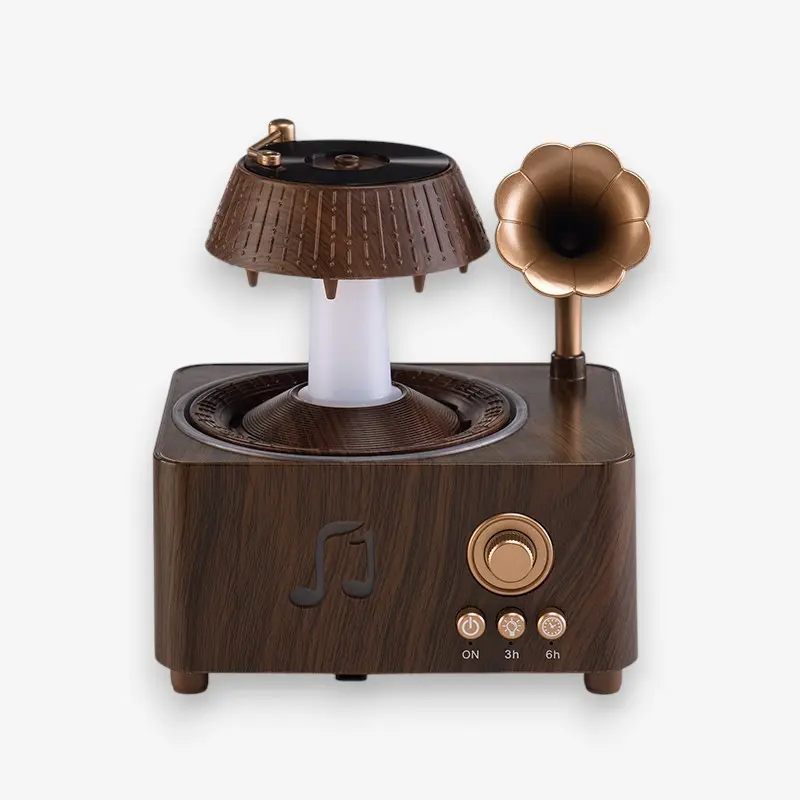 Diffuseur de parfum 12W en bois avec design sonore