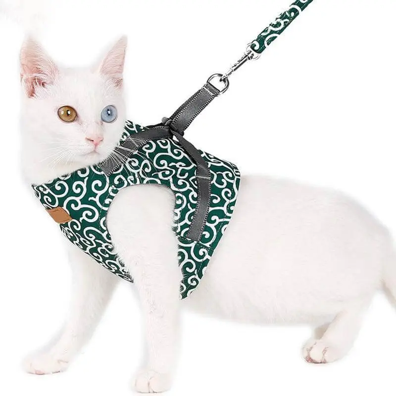 Harnais gilet chat anti-fugue léger respirant