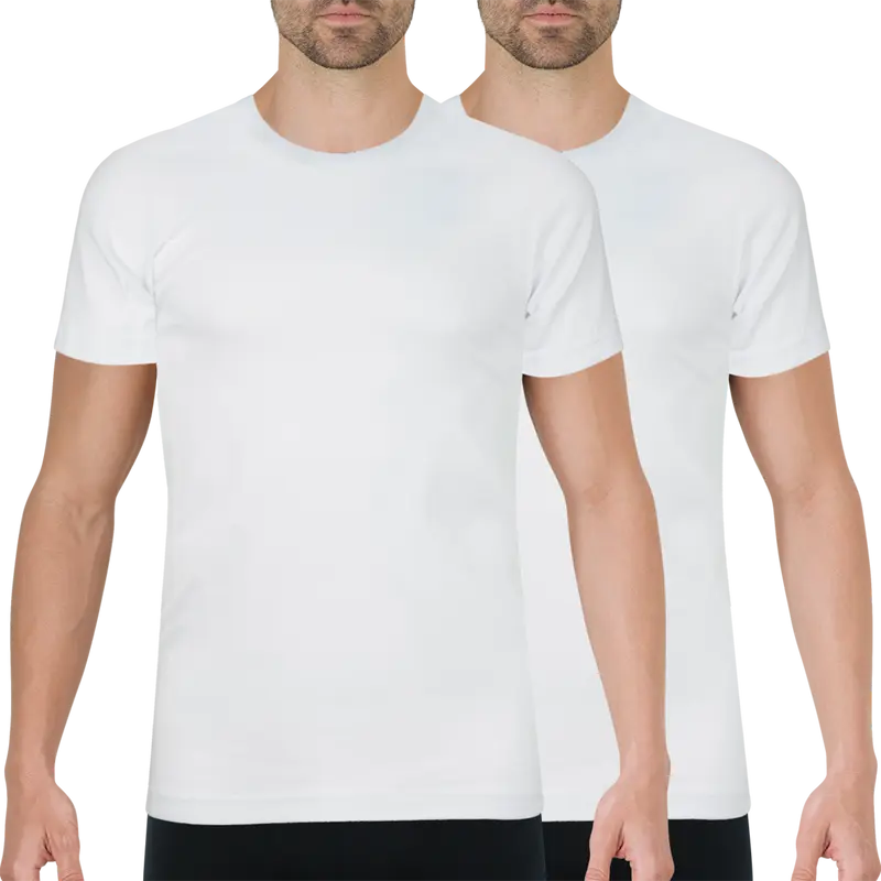 Lot de 2 tee-shirts col rond homme Coton Bio Athena