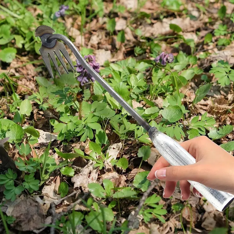 Outil de désherbage efficace pour un jardinage sans problème