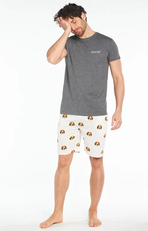 Pyjashort Beagle - Gris