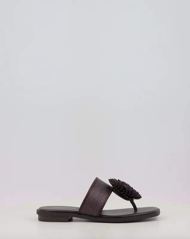 Sandales NOA HARMON PETAL marron