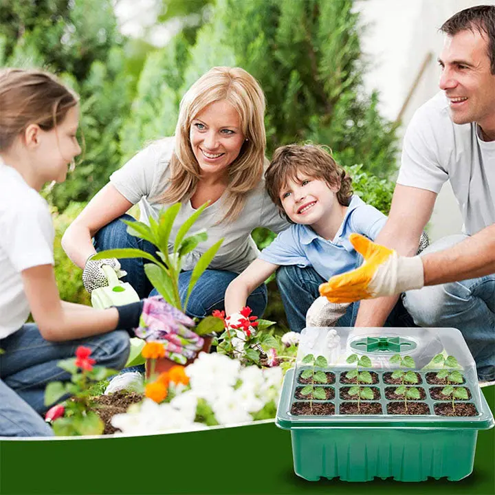Serre multifonctionnelle pour un jardinage durable
