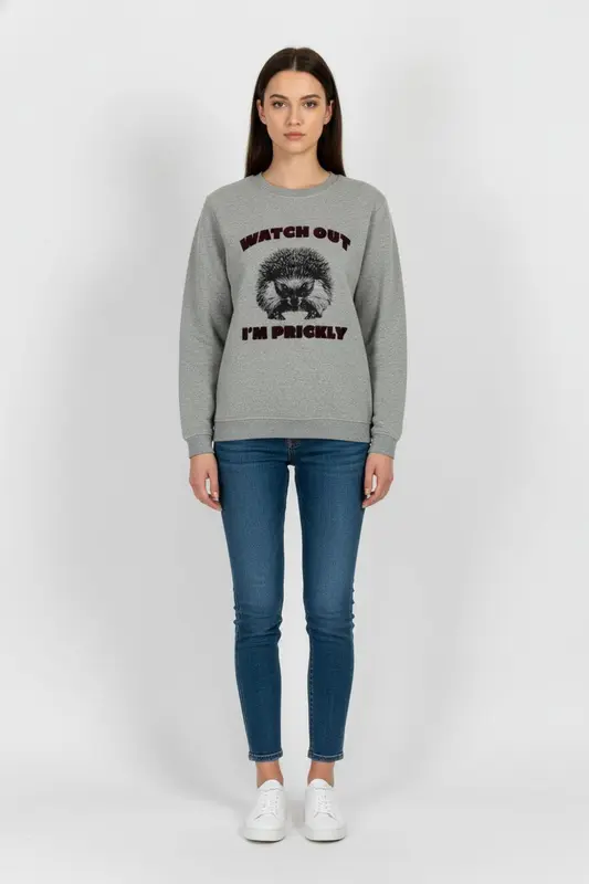 Sweat Gris - Taille M/38