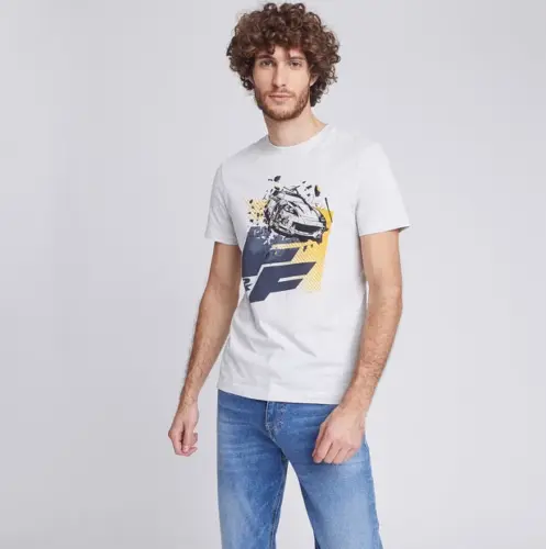 T-shirt Fast and Furious Gris Homme