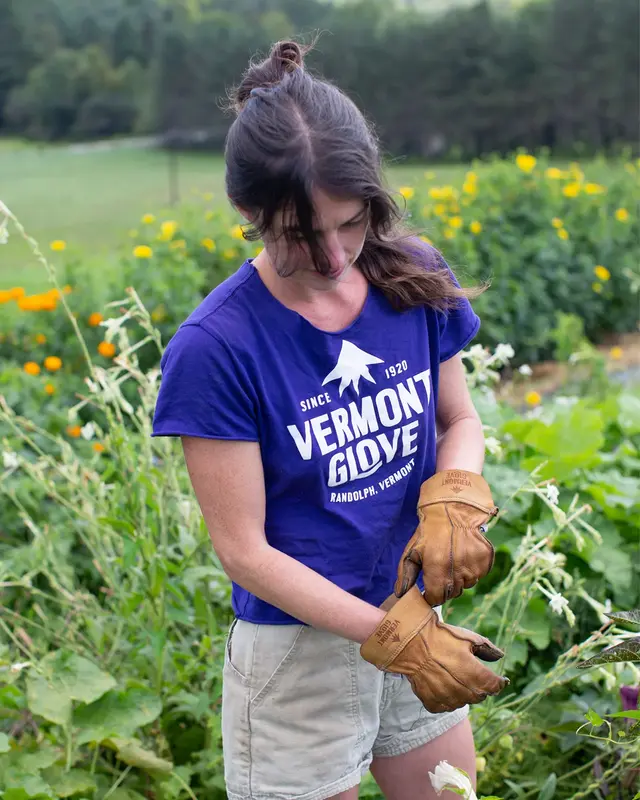 Tee-shirt Purple VERMONT GLOVE