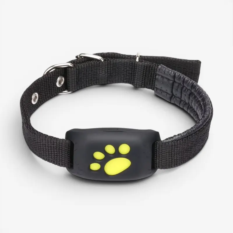 Traceur GPS pour Animaux de Compagnie au Design Compact